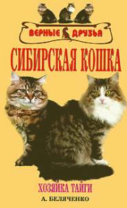 Сибирская кошка | А.Беляченко