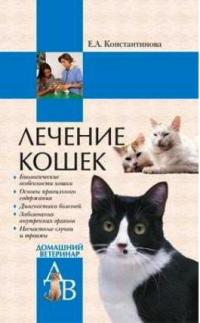 Лечение кошек | Константинова Е.А
