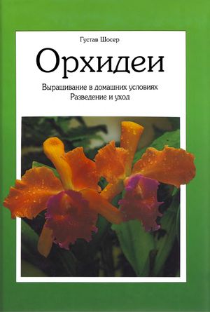 Орхидеи: Выращивание в домашних условиях. Разведение и уход
